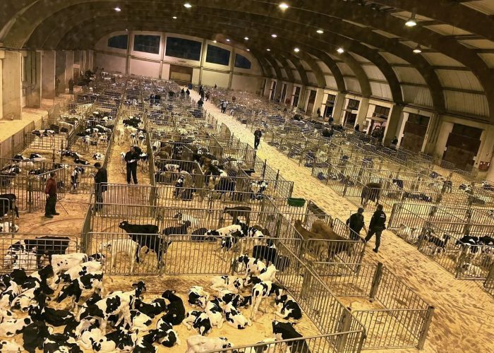 487742051_1215791097000490_6302278779798621501_n